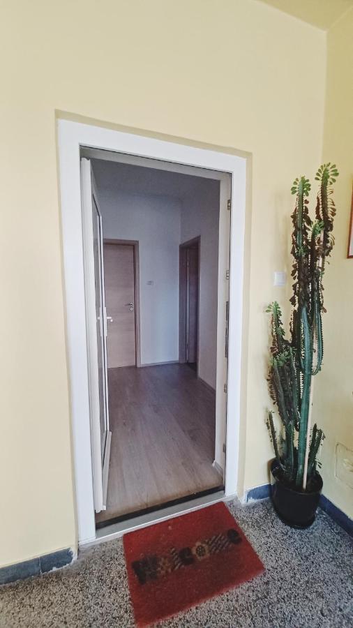 Appartement Apartman Dora à Pula Extérieur photo